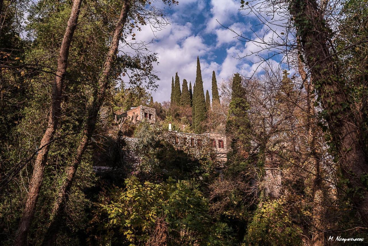 Villa Valeondades à Valeontádes Extérieur photo