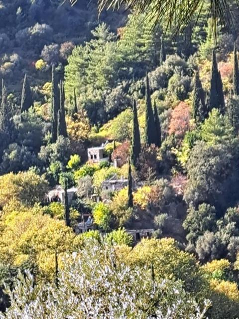 Villa Valeondades à Valeontádes Extérieur photo